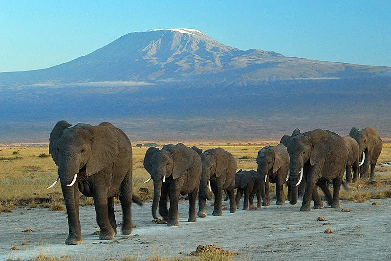 Kenia