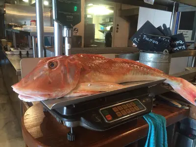 Fisch an der Riviera