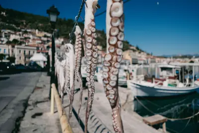 Gegrillter Oktopus