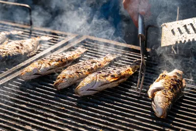 Fish from Fiskardo and Agia Efimia