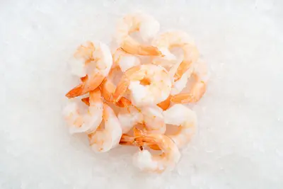 Key West Pink Shrimp