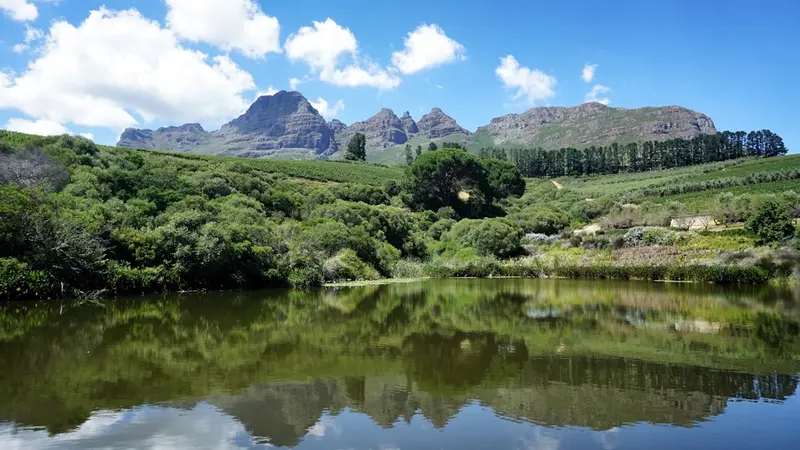 Cape Winelands (Stellenbosch, Franschhoek)