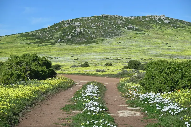 Die Garden Route