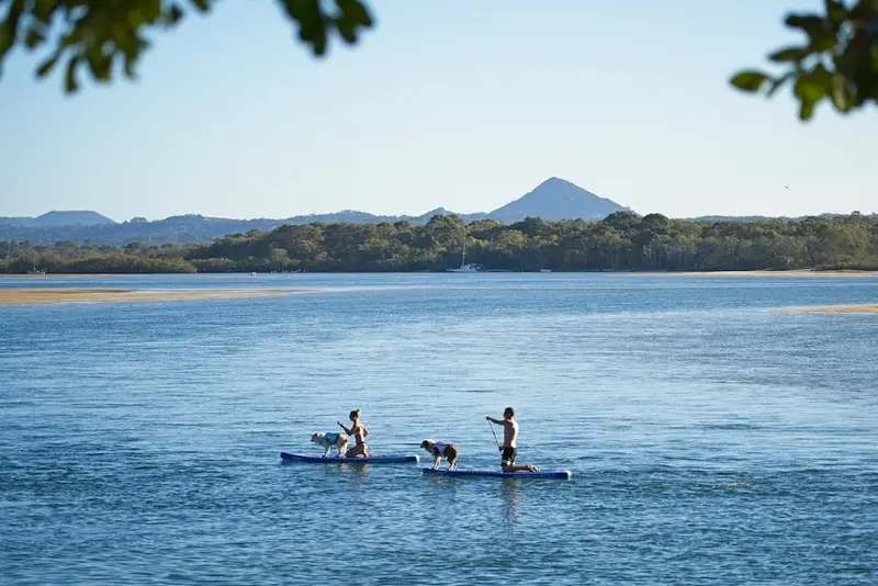 Noosa River