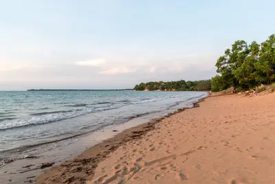 Darwin