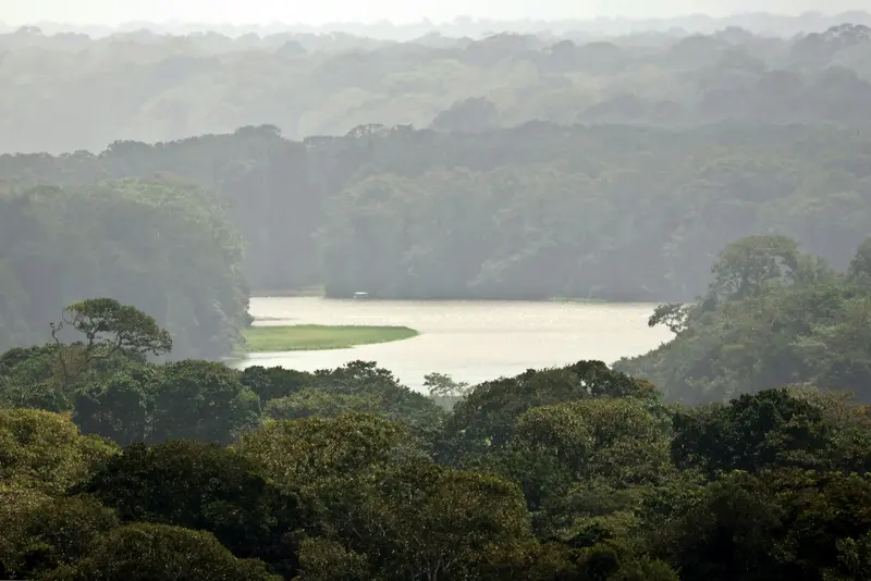 Cerro Tortuguero