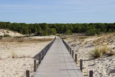 Biscarrosse