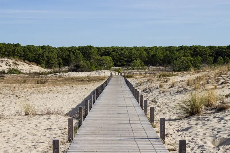 Biscarrosse