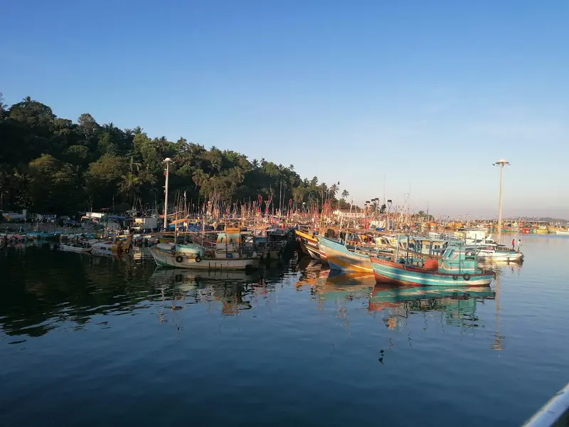Fischereihafen Mirissa