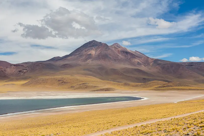 Lagunas Altiplánicas