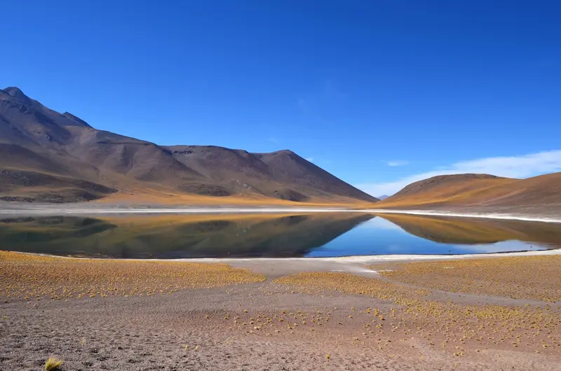 Laguna Miñiques