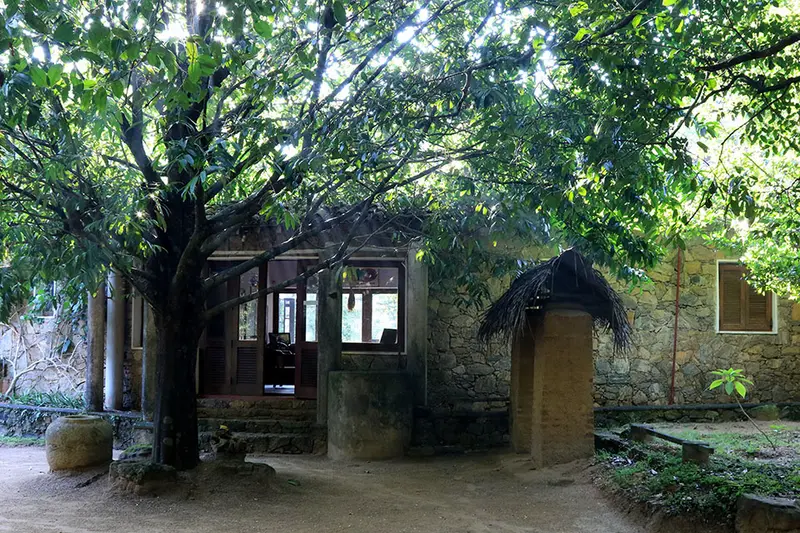 Popham Arboretum