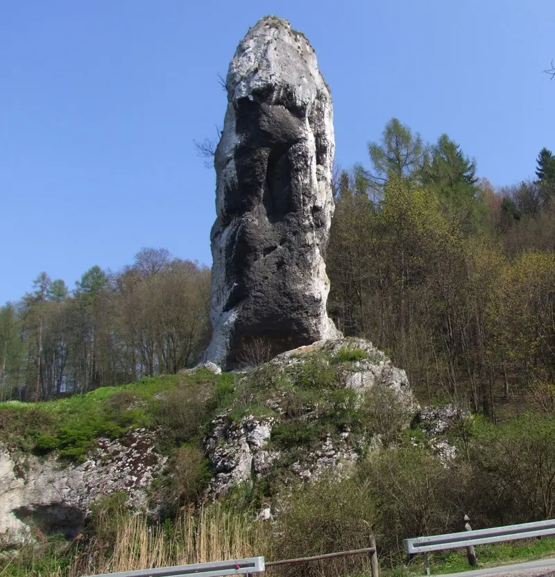 Herkuleskeule (Maczuga Herkulesa)