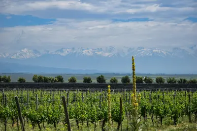Mendoza und die Anden