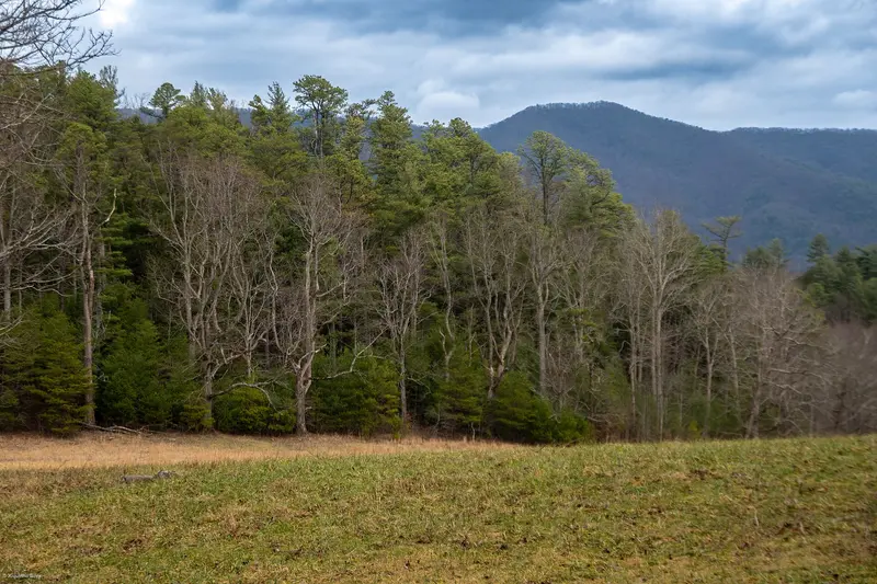Great-Smoky-Mountains-Nationalpark