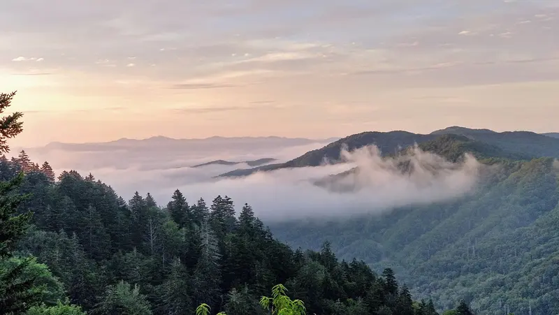 Newfound Gap