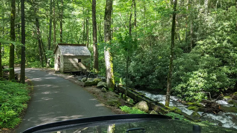 Roaring Fork Motor Nature Trail