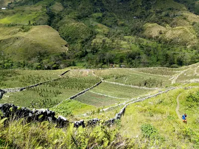 Baliem-Tal (Papua)
