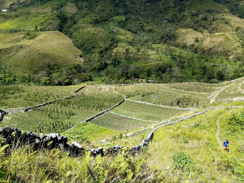Baliem-Tal (Papua)