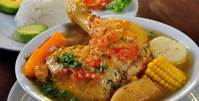 Gallina criolla