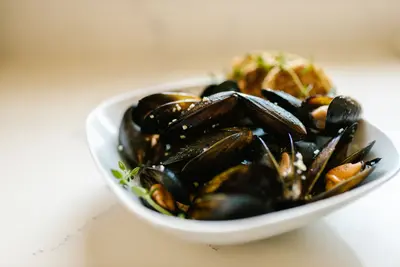 Mussels from the Thermaic Gulf