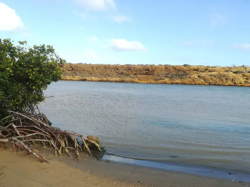 Muelle Bahía Hondita