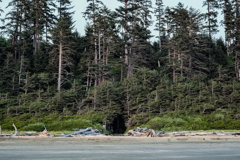 Long Beach (Pacific Rim Nationalpark Reserve)