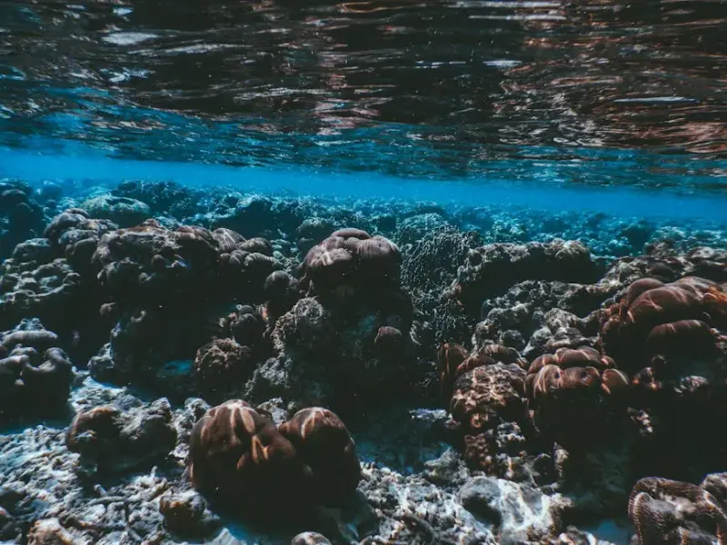Ningaloo Reef