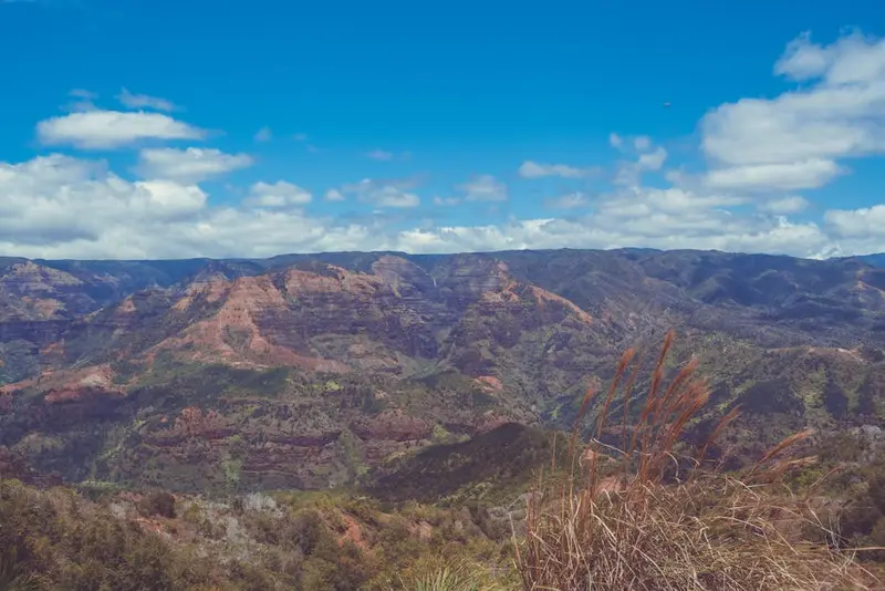 Pacific Rim Nationalpark-Reservat