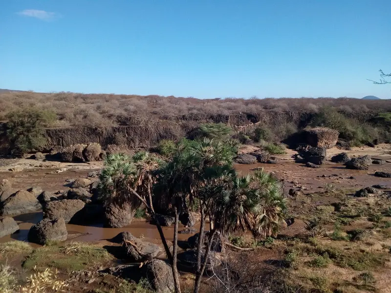 Ewaso Nyiro River