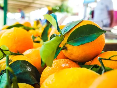Florida-Orangen