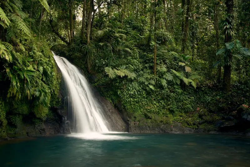 Fortescue Falls & Fern Pool