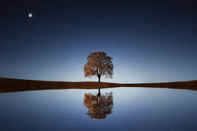 Dark Sky Project