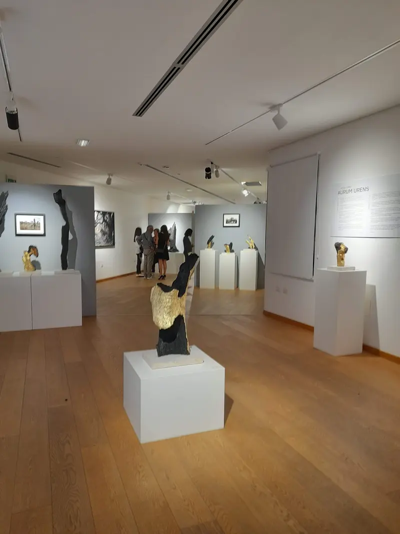 Museo Archeologico Antiquarium Arborense