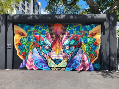 Wynwood und Design District