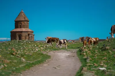 Kars & Ani