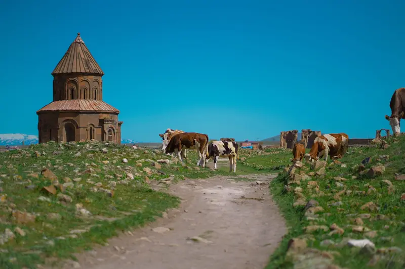 Kars & Ani