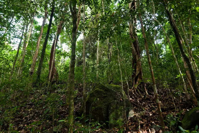 Nationalpark Phú Quốc