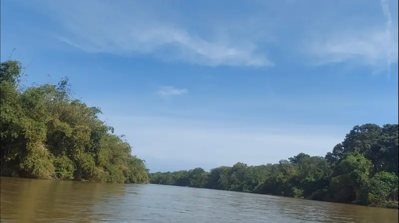 Río Palomino