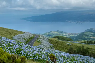 Faial