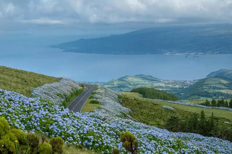 Faial