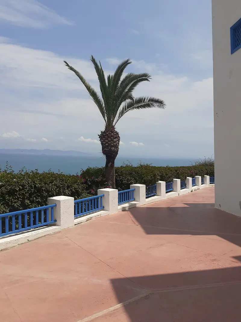 Ennejma Ezzahra (Palace of Baron d'Erlanger)