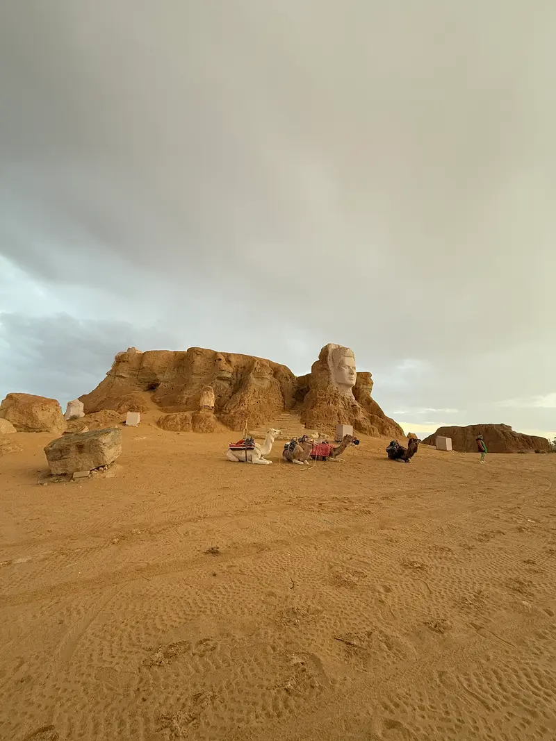 Belvédère (Ras el Aïn)