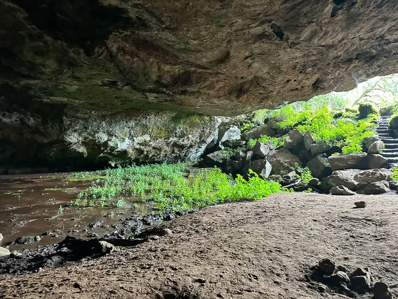 Kitum Cave