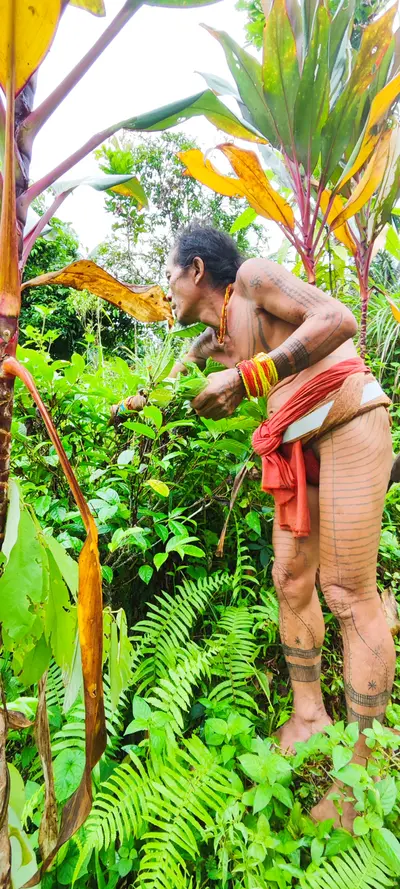 Mentawai-Inseln