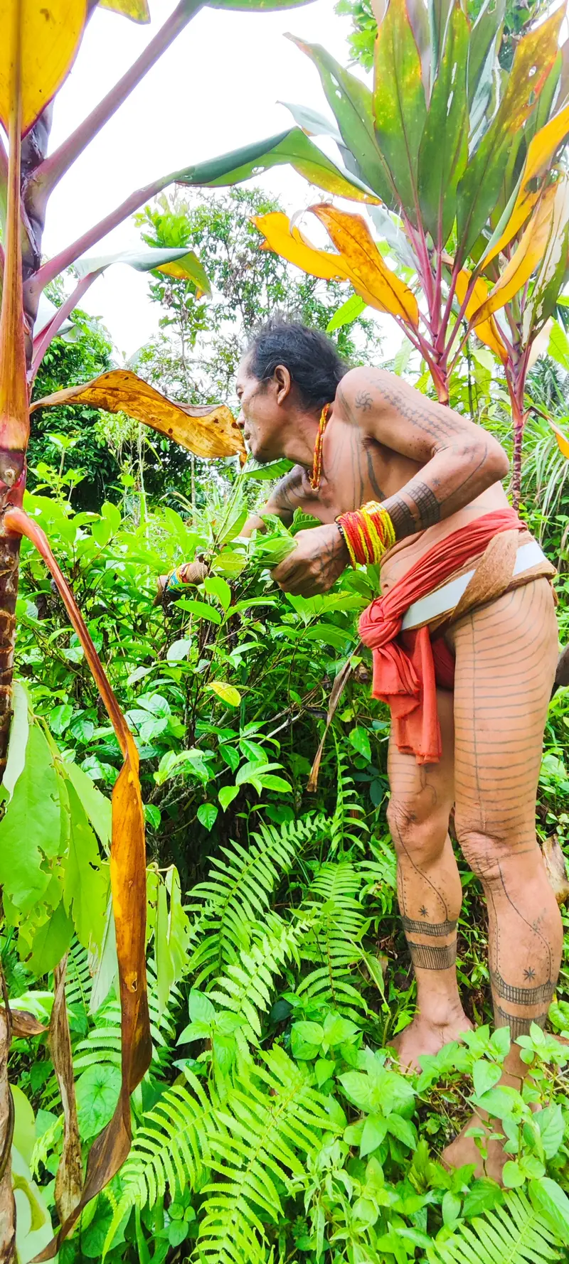 Mentawai Islands