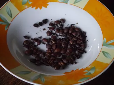 Kaffee und Kakao aus Minca