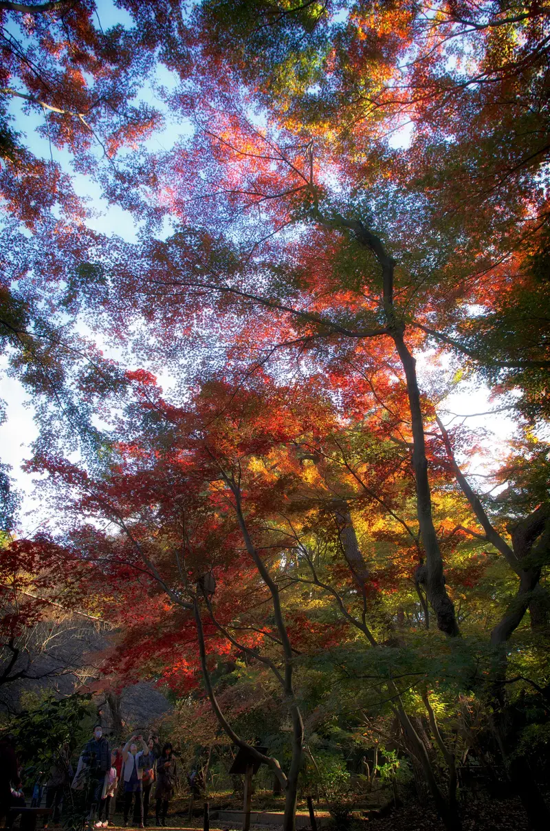 Sankei-en