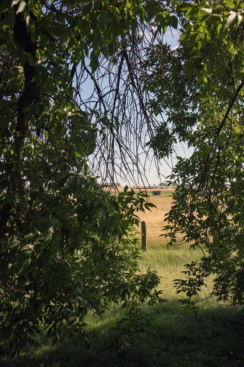 Gedenkstätte Majdanek