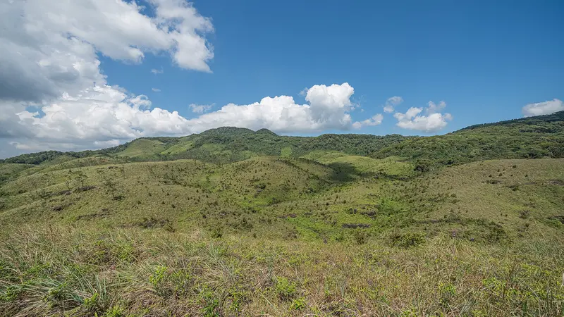 Sinharaja Forest Reserve